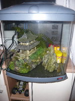 aquarium.jpg
