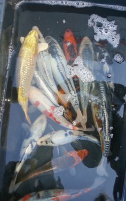20131019_125935_KL.jpg
