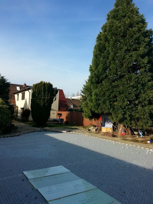 20140118_114551.jpg