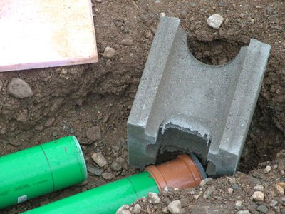 Dicht3701.jpg