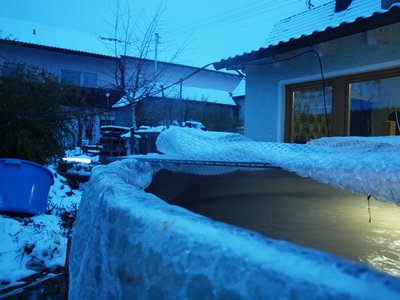 P1011175.JPG
