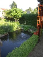 3 unser teich und garten.jpg