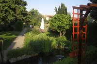 4 unser teich und garten.jpg