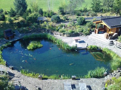 2 Garten.JPG