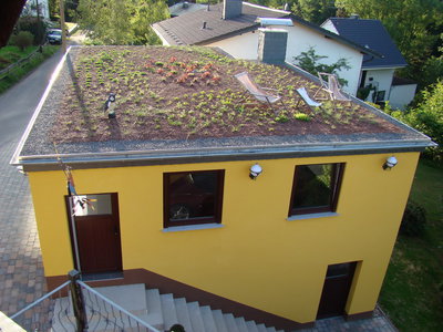 29Garagenhaus1.JPG