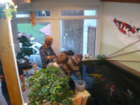 Wintergarten 2.jpg