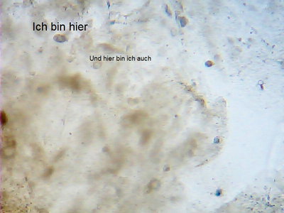 2014_03_11_19_26_12_230.jpg