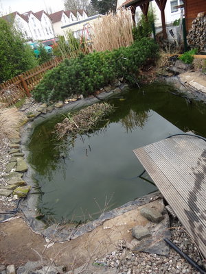 DSC04900.JPG