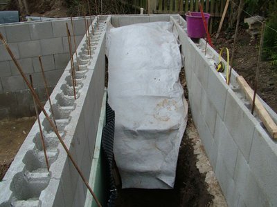 DSCF4503.JPG