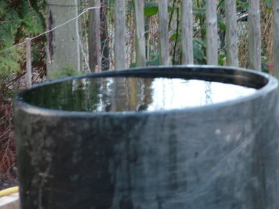 DSCF4587.JPG