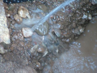 DSCF4580.JPG