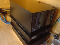 DSC00032.JPG
