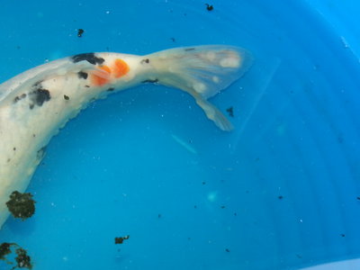 20140330_155803.jpg