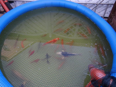 DSC05009.JPG
