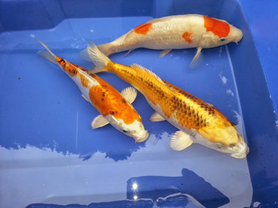 20140406_151005.jpg