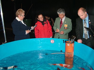 DSCF4924-8.JPG