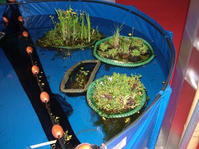 DSCF4927-8.JPG