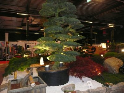p1080425_2.jpg