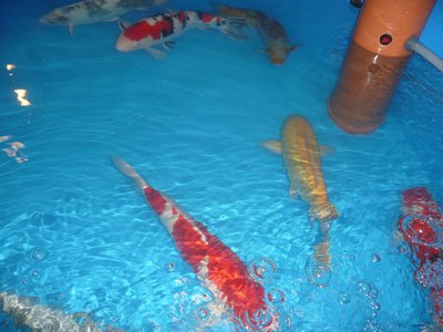 p1080507_1.jpg