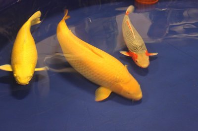 IMG_7972.jpg