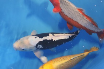 IMG_7979.jpg