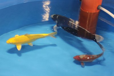 IMG_7988.jpg