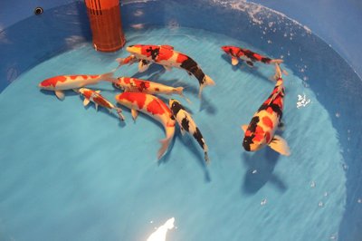 IMG_8013.jpg
