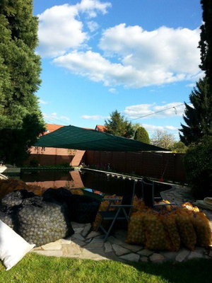 20140416_172907.jpg