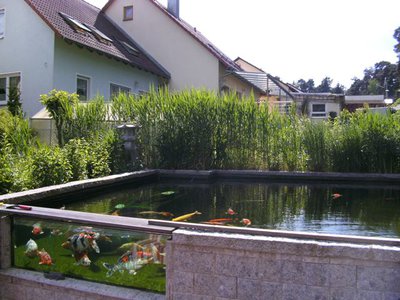 06.JPG