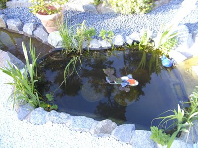 BILD1782_neu_kl.jpg