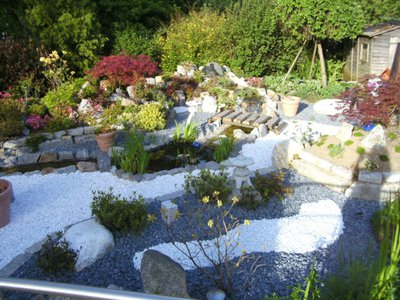 BILD1795_neu_kl.jpg
