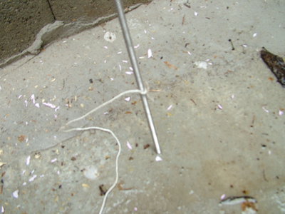 DSCF4994.JPG