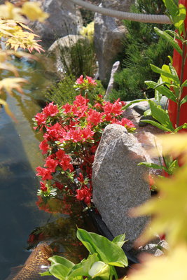 IMG_9838.JPG