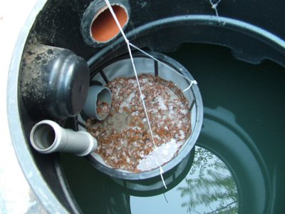 DSCF5121.JPG