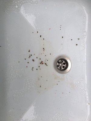 ImageUploadedByTapatalk1398605677.856010.jpg