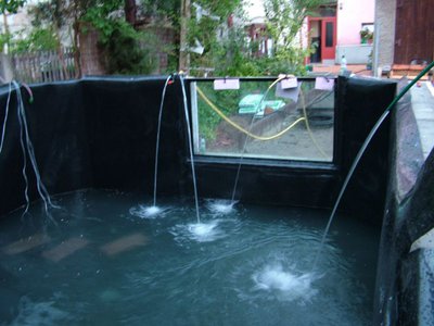 DSCF5179.JPG