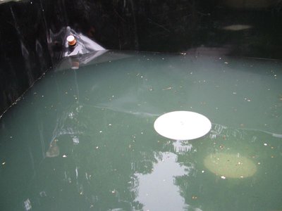 DSCF5186.JPG