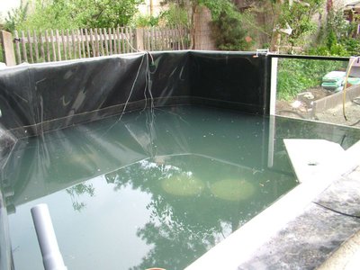 DSCF5228.JPG