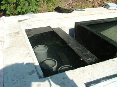 DSCF5293.JPG