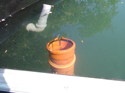 DSCF5304.JPG