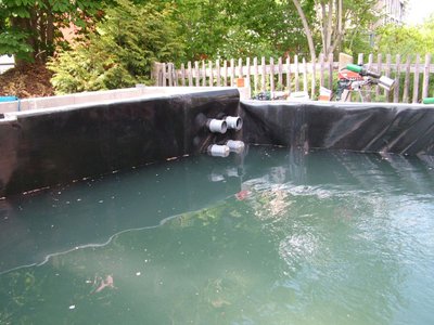 DSCF5254.JPG