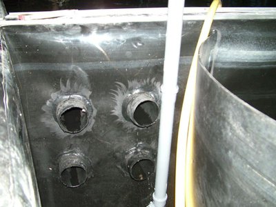 DSCF5338.JPG