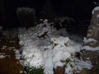 winter 1.jpg