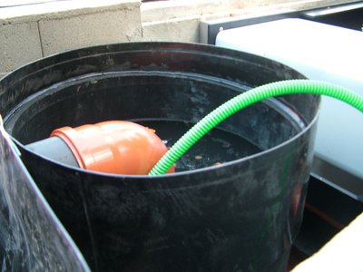 DSCF5270.JPG