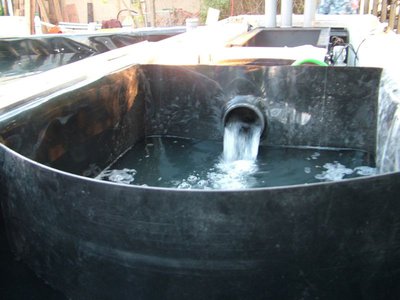 DSCF5284.JPG