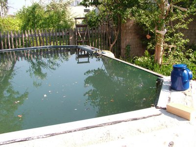DSCF5290.JPG