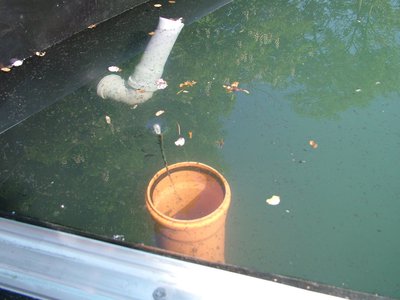 DSCF5302.JPG