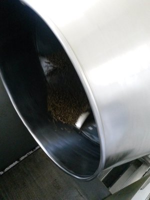 20140411_111452 (FILEminimizer).jpg