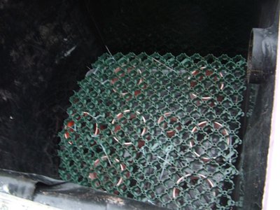 DSCF5360.JPG