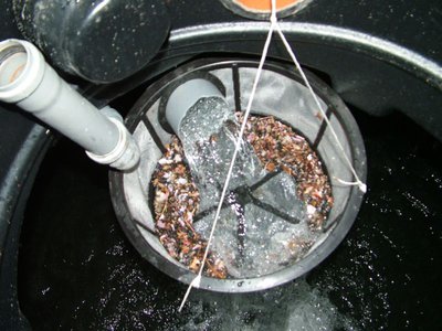 DSCF5333.JPG